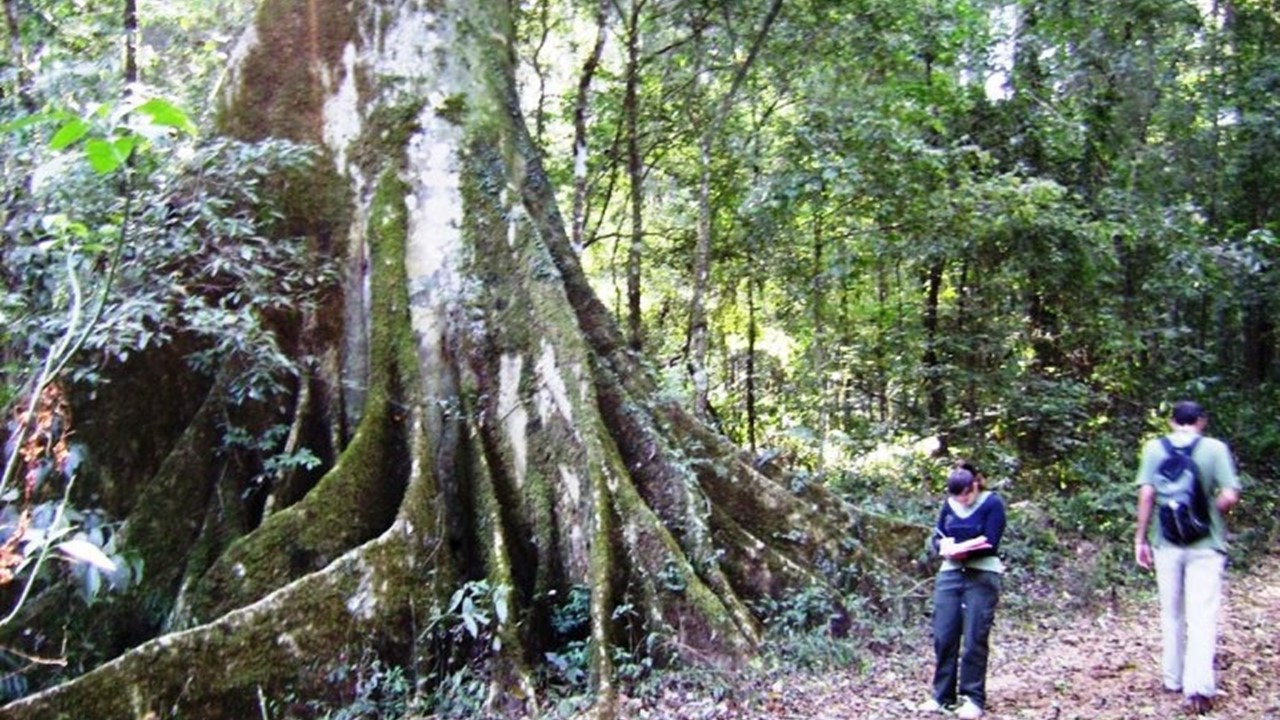 Fazenda Santa Cecília, em Patrocínio Paulista (SP)