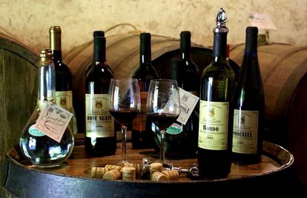  Vinhos Rosê, Bordô e Moscatel do Sítio Bom Retiro, em Serra Negra.