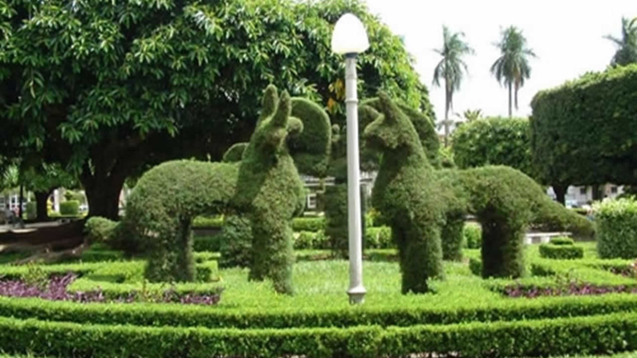  Várias topiarias em Batatais (SP)