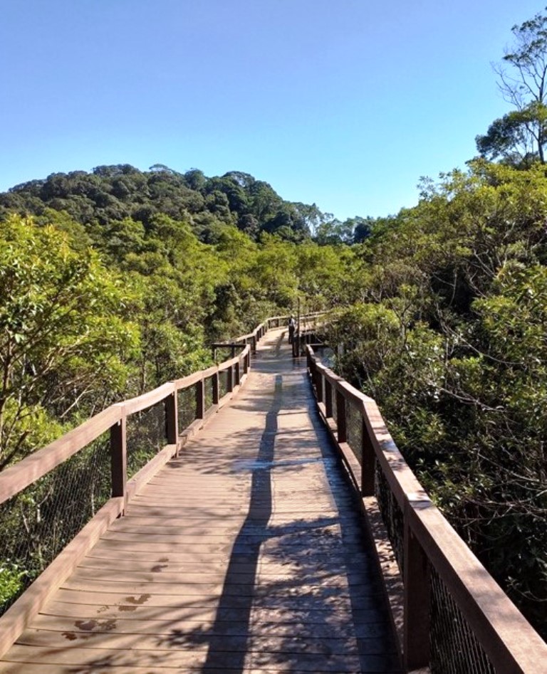 Caminhos do Parque Ecológico Imigrantes.