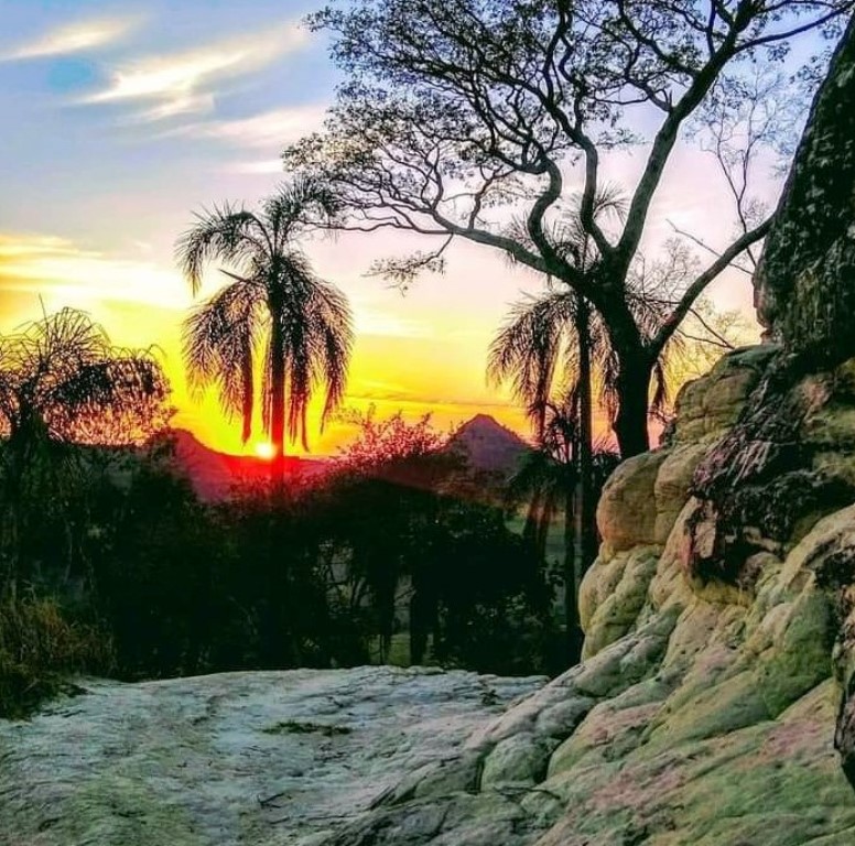 Natureza exuberante em Torre de Pedra (SP).