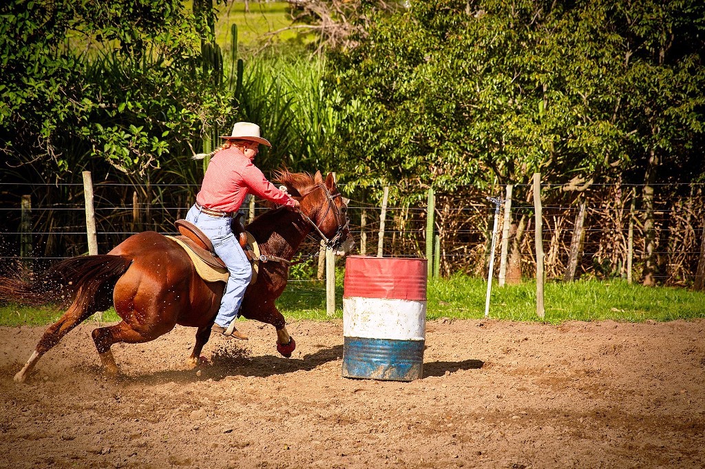 Novo Horizonte tem um dos maiores plantéis de cavalos.  Foto Alf Ribeiro.