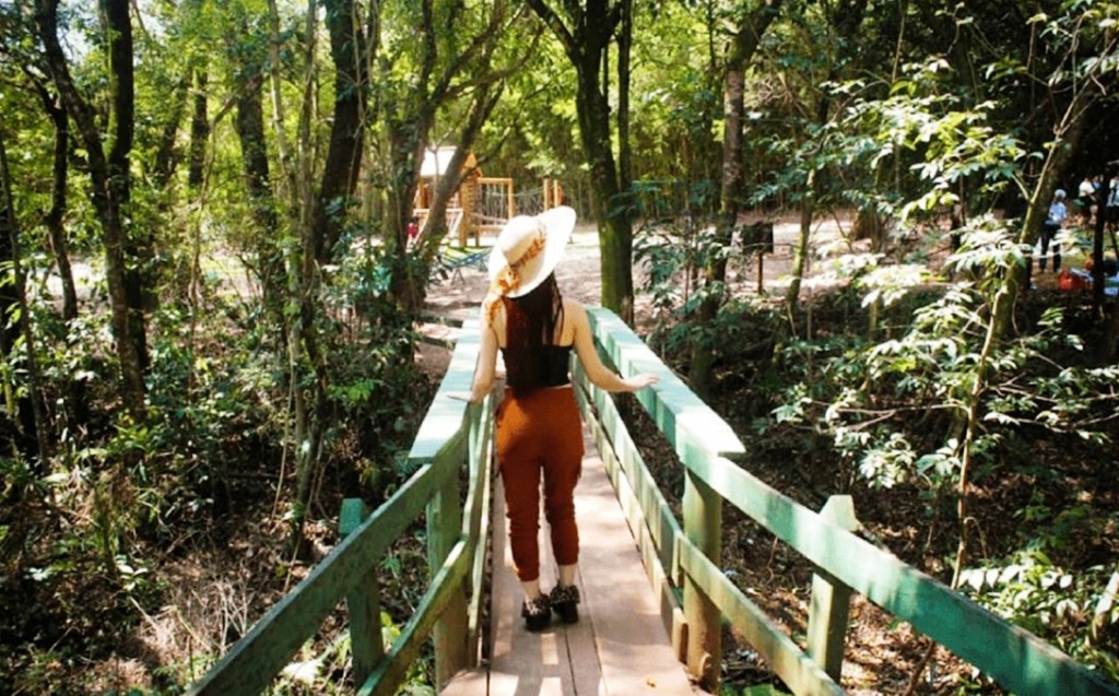 Passeie no Parque Ecológico de Boituva (SP). 