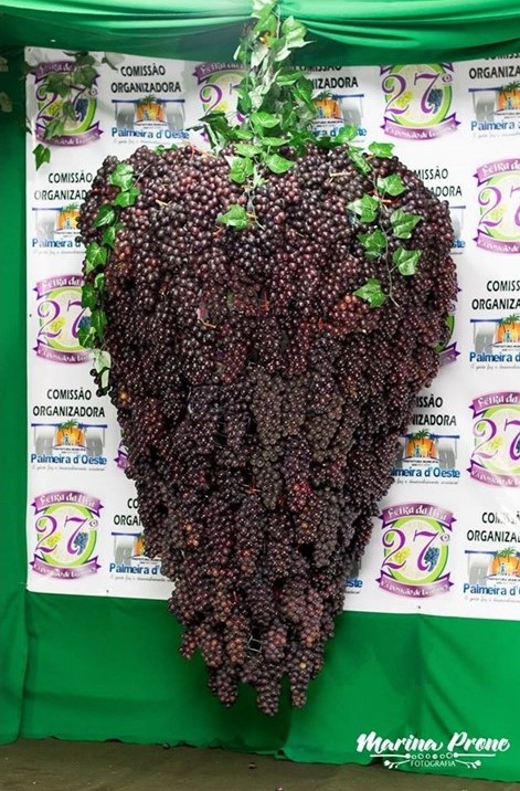 Cacho Gigante. Foto Martim Prene.