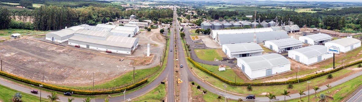 Campos de Holambra, em Paranapanema (SP).