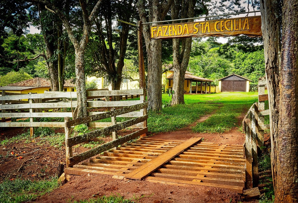 Fazenda Santa Cecília em Patrocínio Paulista. Foto Alf Ribeiro.