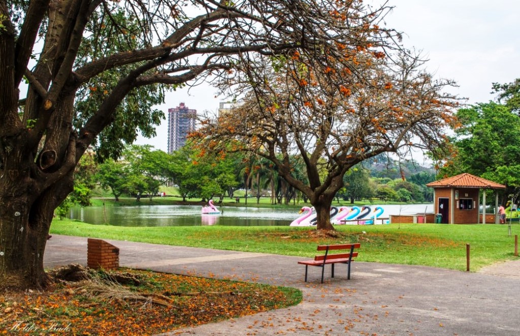 Parque da Rua do Porto, em Piracicaba.   Foto da Prefeitura 