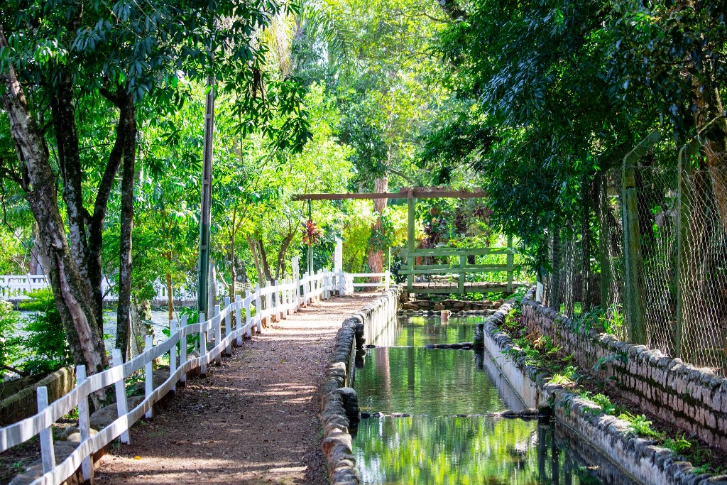 Parque Ecológico de Boituva.