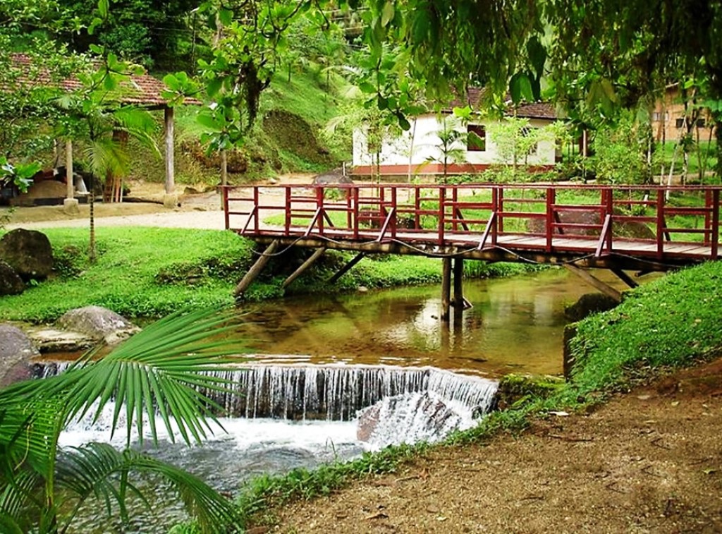 Parque Estadual Carlos Botelho (SP).