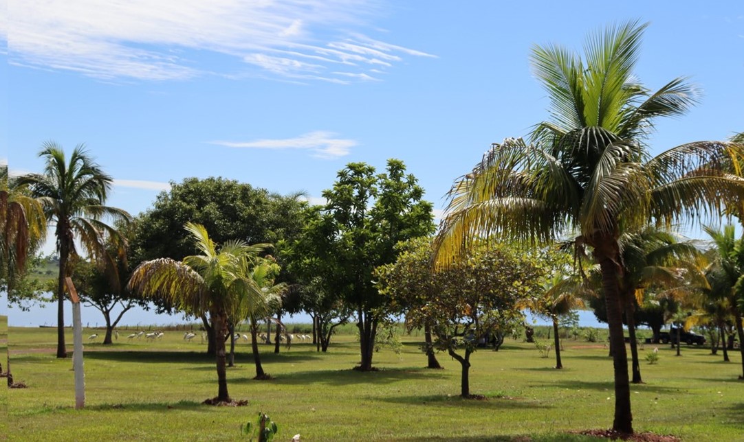 Prainha de Esmeralda, em Rubinéia (SP).  
