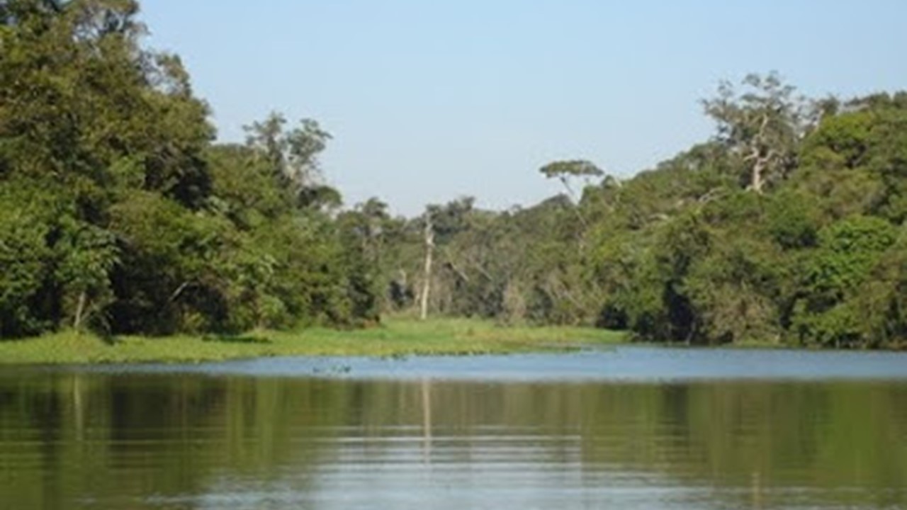 Estação Ecológica em Paranapanema (SP).