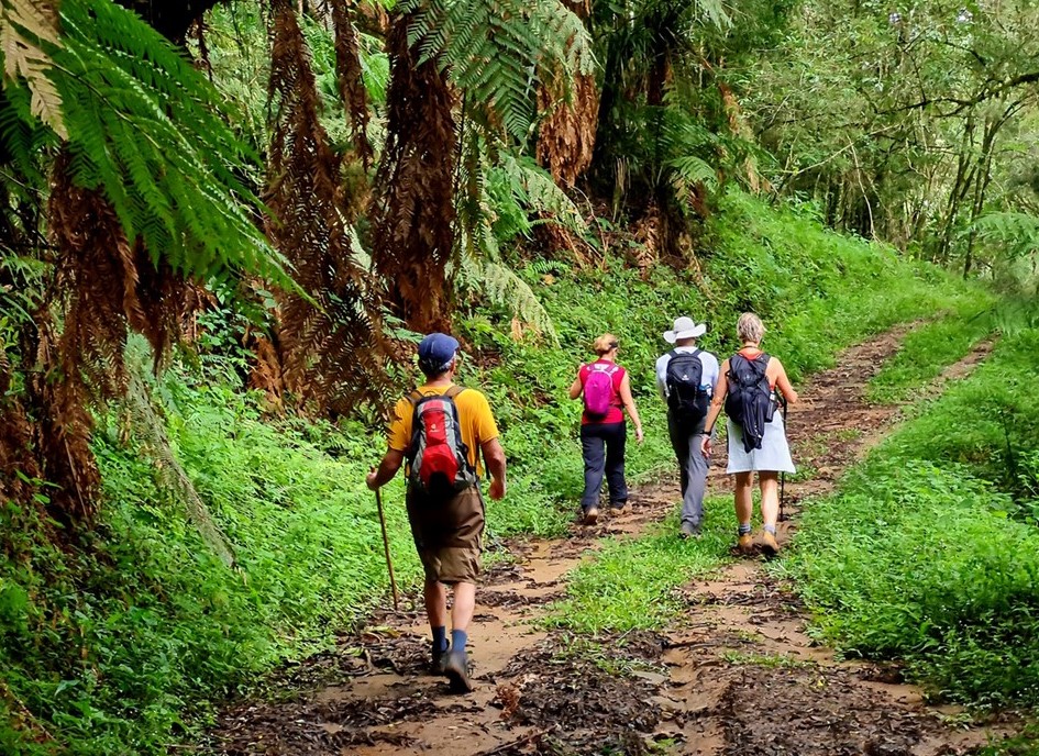 O saudável passeio em trilhas.  Foto MW Trekking. 