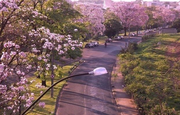 Passear em Catanduva é diferente. 