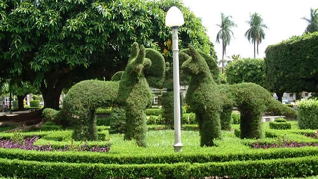 Topiaria, uma arte interessante.