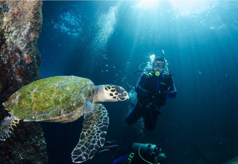 Mergulhos em águas paulistas. Foto Fundação Florestal. 