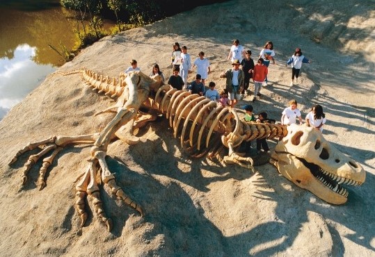 Ossada do Tiranossauro Rex, em Tatuí (SP).