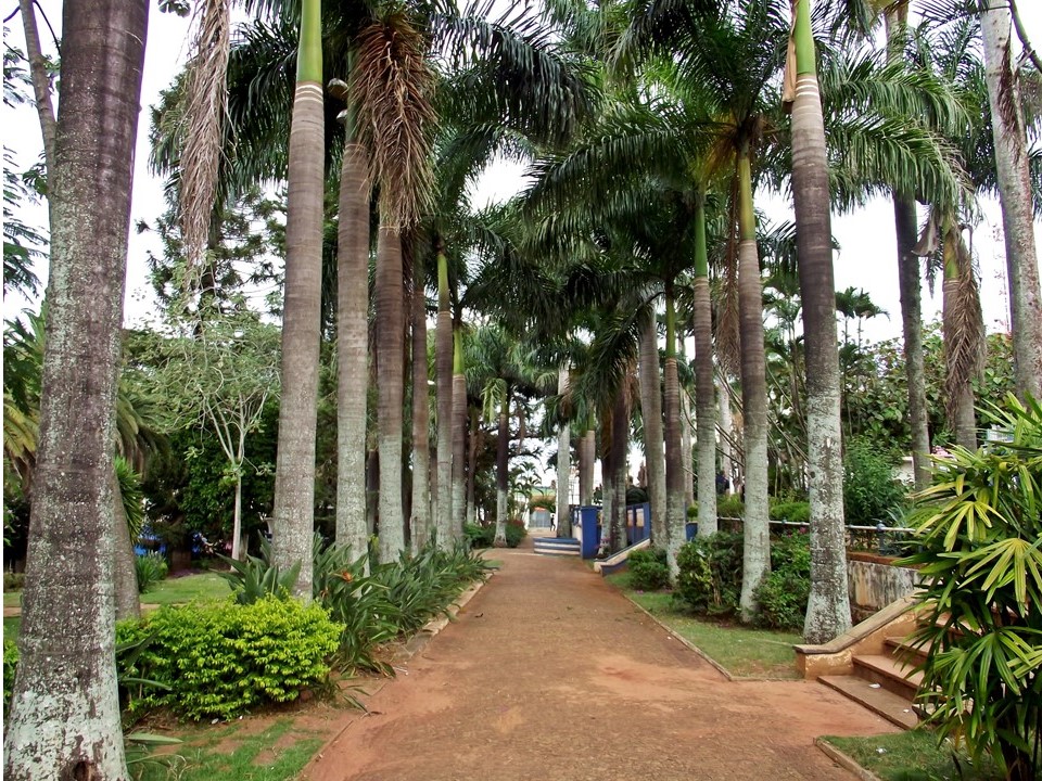O tranquilo Jardim Público em São Manuel (SP).