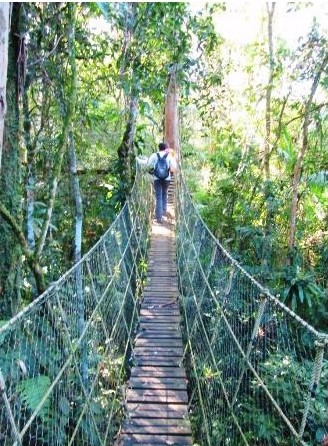 parquedasneblinaspasseiosinesqueciveis
