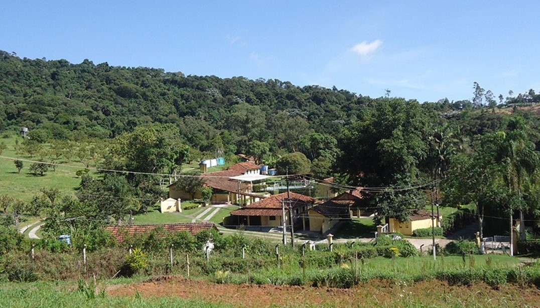 Sítio Matsuo, em Mogi das Cruzes (SP).