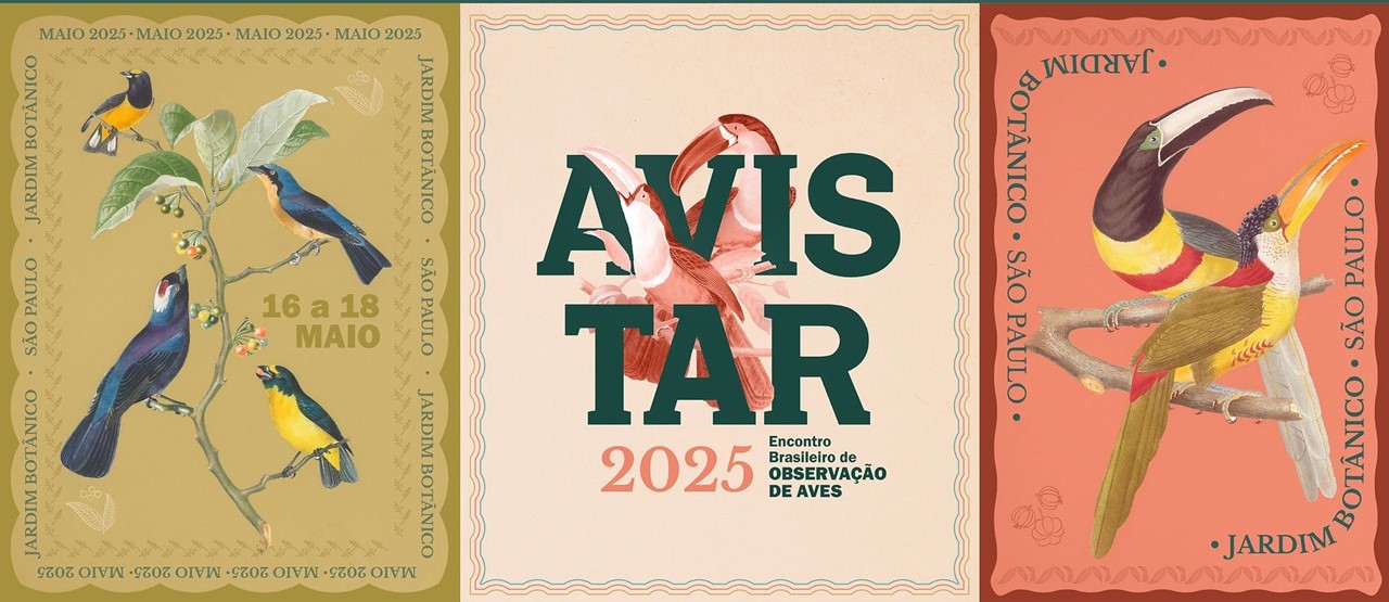 Avistar Brasil 2025, em maio em São Paulo (SP).